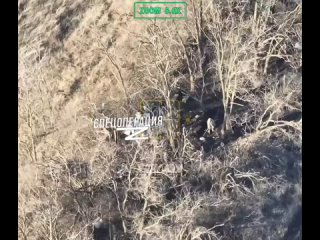 Бойцы группировки «Восток» с помощью  дронов уничтожили позицию ВСУшников, на которой был замаскирован миномёт