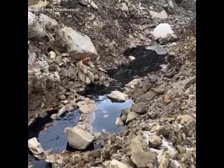 Экологическая активистка побывала на мусорном полигоне Новороссийска со следственной группой