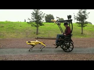 Адам Сэвидж и карета, управляемая собакой Boston Dynamics