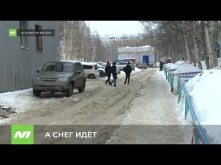 Бизнесменов попросили убрать снег