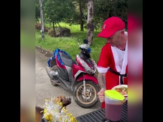Дед Мороз накормил бездомных собак