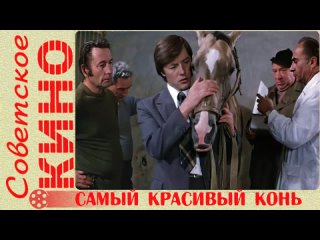 х/ф Самый красивый конь (1976 год)