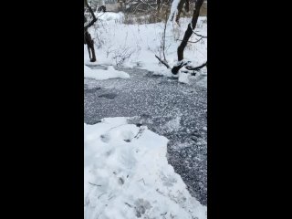 Замёрзший ручей