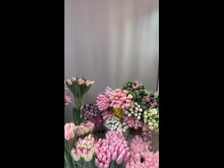 Тюльпановое настроение 
Успей заказать самые свежие цветы для своих любимых!