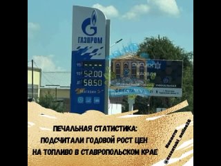 📈По результатам наблюдения Севкавказстата за ценами на автомобильное топливо, бензин в Ставропольском крае подорожал на 6% относ