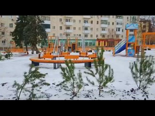 Десятки маленьких зеленых красавиц   появились в районе остановки  Буревестник в Луганске