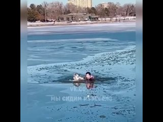 Спасение собаки из ледяного плена