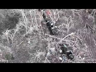 🇷🇺💥🇺🇦 FPV расчеты продолжают уничтожать врага дронами-камикадзе ВТ-40