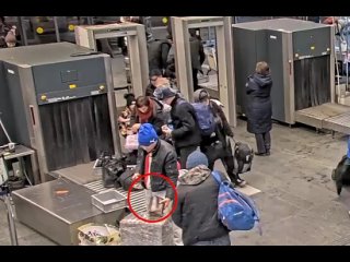 В аэропорту Внуково транспортные полицейские оперативно раскрыли кражу женской сумочки с рамок интроскопа