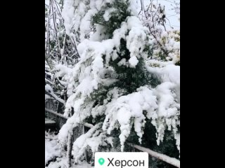 ❄️ Херсон погрузился в настоящую сказку — местные жители в восторге от первого снега