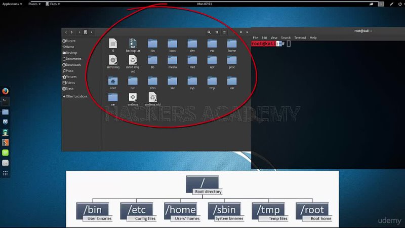 Хакер Linux Kali 004 Root Kali