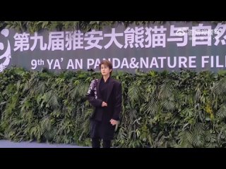 Zhu Zanjin.  Церемония закрытия Недели фильмов о пандах и природе в Яане. Красная дорожка