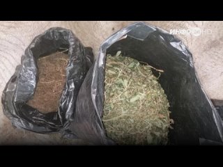 Шадринские полицейские изъяли у местного жителя более 1 кг каннабиса (2024-01-19)
