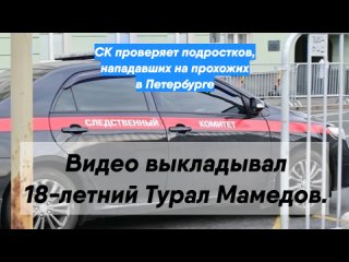 СК проверяет подростков, нападавших на прохожих в Петербурге