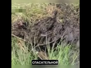 Молодцы люди вовремя среагировали!.mp4