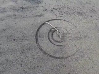 Ну наконец-то конец света - Админ паблика