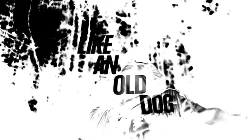 Royksopp Like An Old Dog ( Maceo Plex