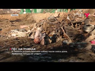 Video by Новости Тобольска и не только