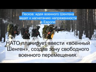 Песков: идея военного Шенгена ведет к нагнетанию напряженности в Европе