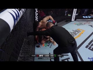 Хьюн Сунг Парк vs Шеннона Росса tko UFC Fight Nights 233