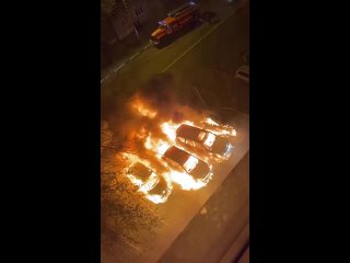 Мстительный житель Рассказова заплатит более пяти миллионов за то, что сжег несколько автомобилей в Тамбове

Началось всё с бана