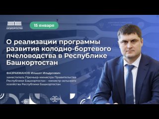 О реализации программы развития колодно-бортевого пчеловодства в Республике Башкортостан