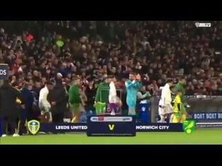 Highlights: Leeds United 1-0 Norwich City