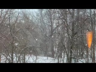 [sonyasleepu] первая зима в Петербурге | открытие сезона, фестиваль настоек и подготовка к экзаменам в ВШМ