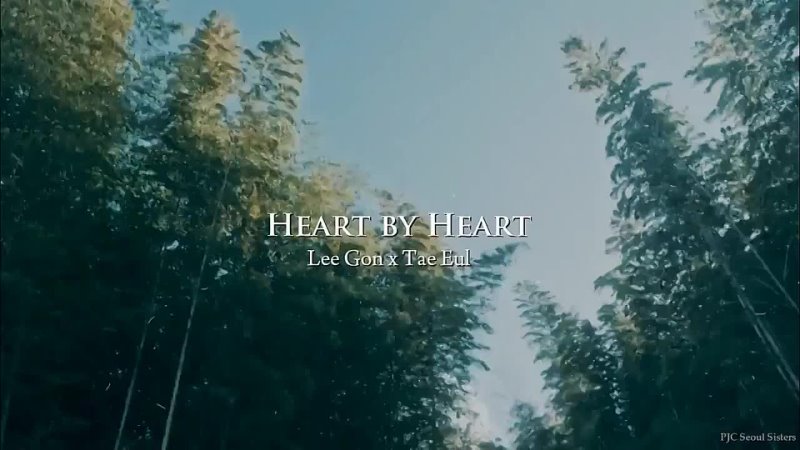 Lee Gon x Tae Eul ( Heart by Heart) FMV Part