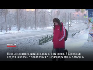 Ямальские школьники дождались актировок