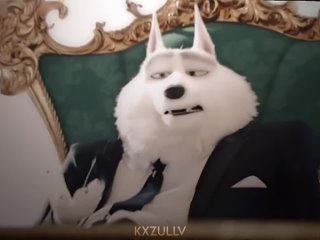 Jimmy Crystal edit sing2 edit white Wolf be my love I want it Зверопой 2 Джимми Кристал Джим Кристал эдит фурри furry edit