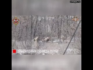 Снайперы 58 обспн 1-го армейского корпуса уничтожают врага в зоне проведения СВО.