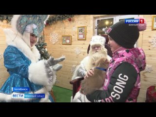 Девочка из Челябинска получила собаку в подарок от Владимира Путина