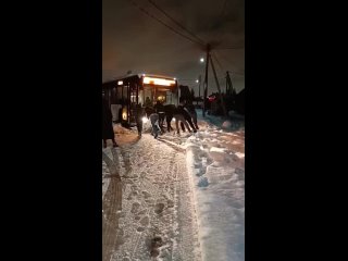 Прохожие вытолкали автобус из снежной ловушки в Калининграде