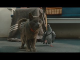 Кошки против собак: Месть Китти Галор / Cats & Dogs: The Revenge of Kitty Galore (BDRip 1080p)