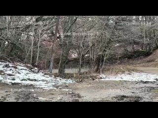 ‍ ️ ️Покататься на ватрушках не получится: На Ангарском перевале в Крыму растаял снег