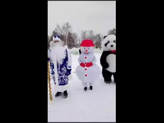 Мишка - Панда - Снеговик - Дед Мороз и Снегурочка 8 937 481 11 65