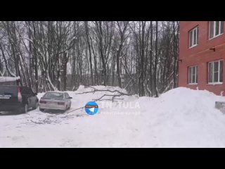 В городе Щекино с крыши упала куча снега и завалила весь двор