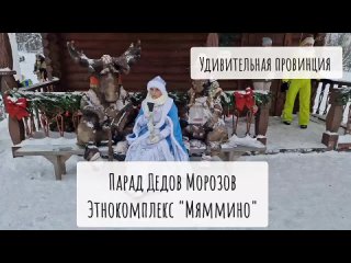 Парад Дедов Морозов 2023