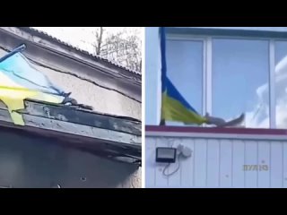 Она вернулась: Агент Кремля, срывающий флаги на Украине, снова в строю
