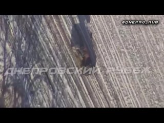 #СВО_Медиа #Военный_ОсведомительУдар барражирующим-боеприпасом Ланцет по ЗРК Стрела-10 ВСУ на Херсонском направлении.