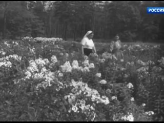 [Vlado] На окраинах Москвы. ЦСДФ, 1953г.