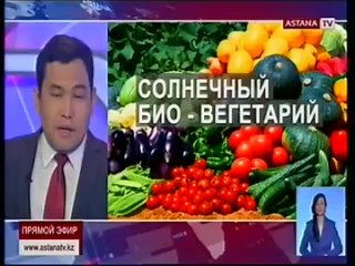 Солнечный био-вегетарий построил житель Петропавловска