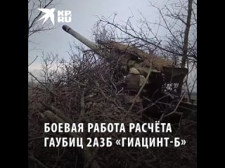 Минобороны России показало кадры уничтожения замаскированных позиций и техники ВСУ в районе Работино