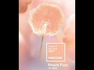 Ошибочка вышла) абрикос меняем на персик 🍑 


Институт цвета Pantone традиционно объявил цвет грядущего 2024 года — им стал «Pea