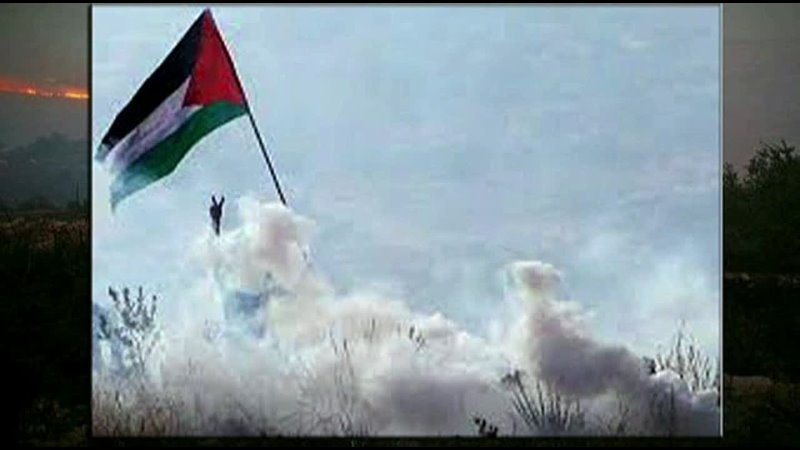 THIS IS PALESTINE