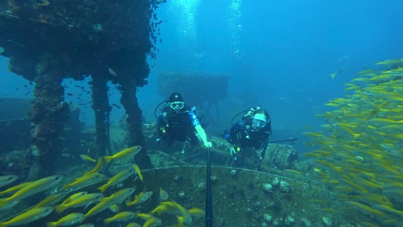 A Chang Wreck Swim in December23, Diving in