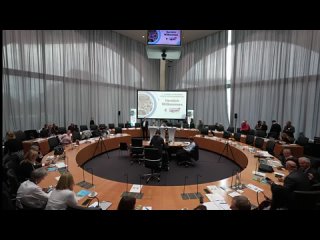 2. Corona-Symposium der AfD-Fraktion im Bundestag - Tag 2 (Sonntag)  AfD-Fraktion Bundestag
