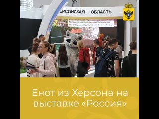 Знаменитый Енот из Херсона отправился на Международную выставку-форум Россия