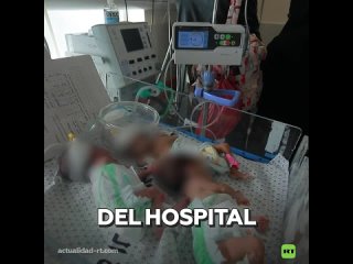 Evacan bebs prematuros de Gaza a Egipto